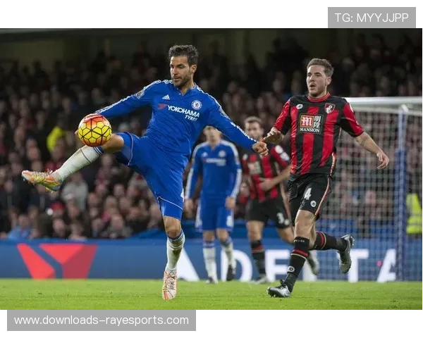 法布雷加斯成功获得欧足联Pro级教练执照认证